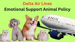 Delta Air Lines Emotional Support Animal Letter Policy