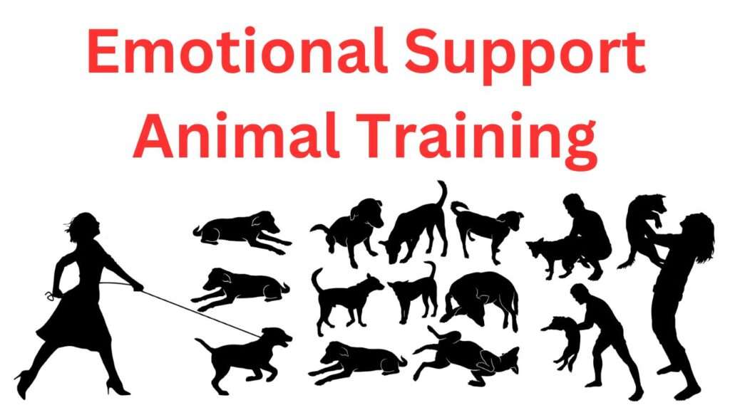 Emotional Support Animal Training