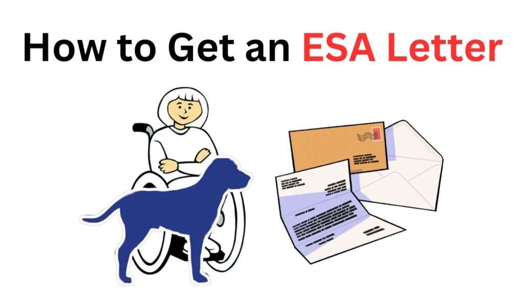 How to Get an ESA Letter