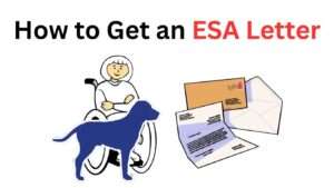 How to Get an ESA Letter