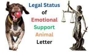 Legal Status of Emotional Support Animal Letter