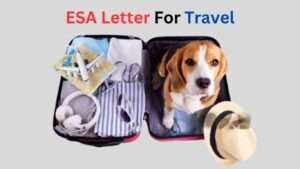 ESA Letter For Travel