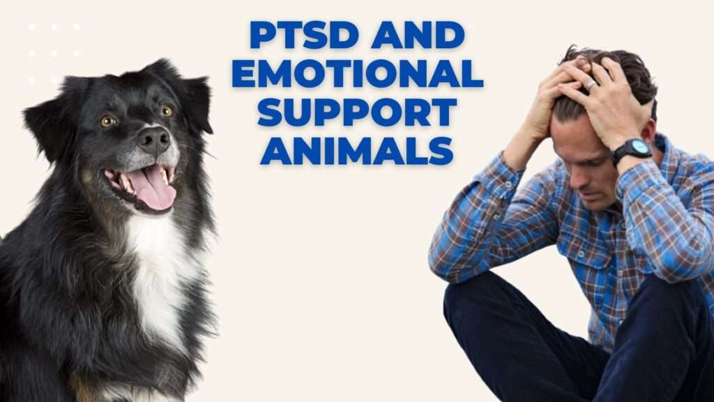 PTSD and Emotional Support Animals