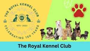 The Royal Kennel Club (United Kingdom)