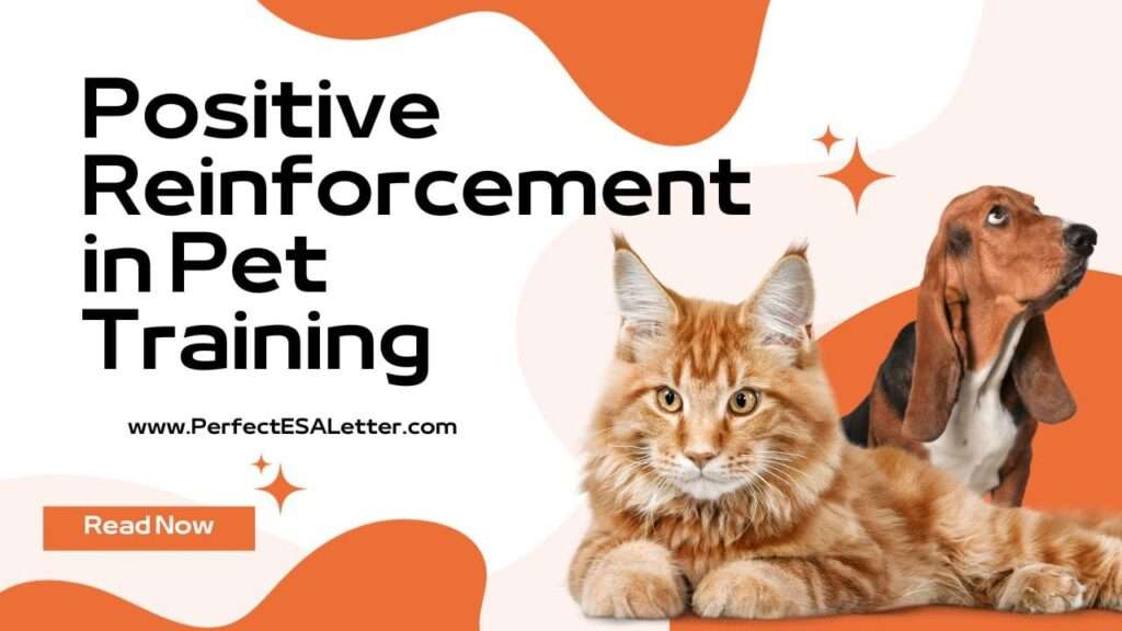 Positive Reinforcement in Pet Training