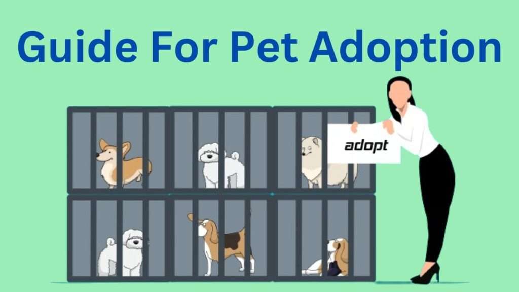 A Comprehensive Guide for Pet Adoption