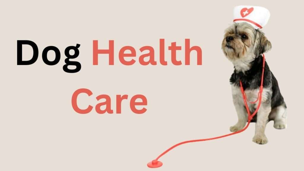 Dog Health Care