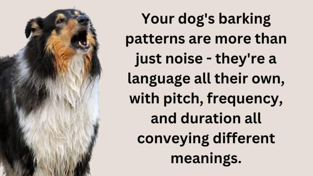 Barking Patterns