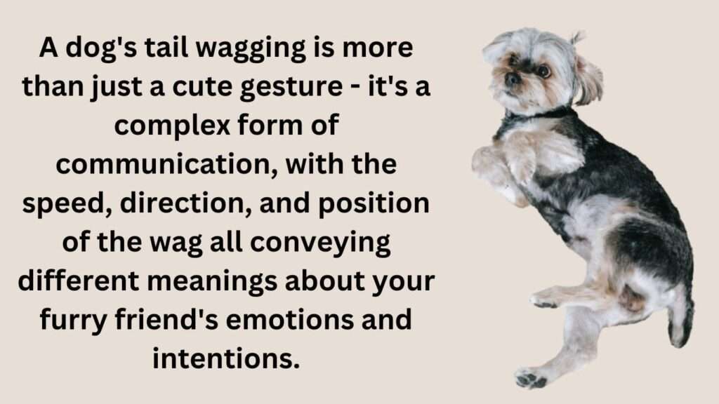 Dog's Tail Wagging