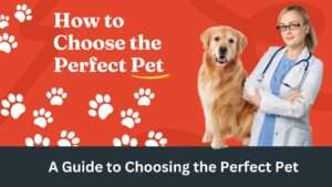 How to Choose the Perfect Pet