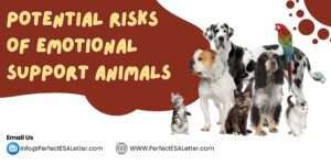 Potential Risks of Emotional Support Animals