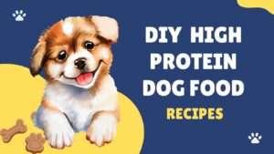 DIY High Protein Dog Food Recipes