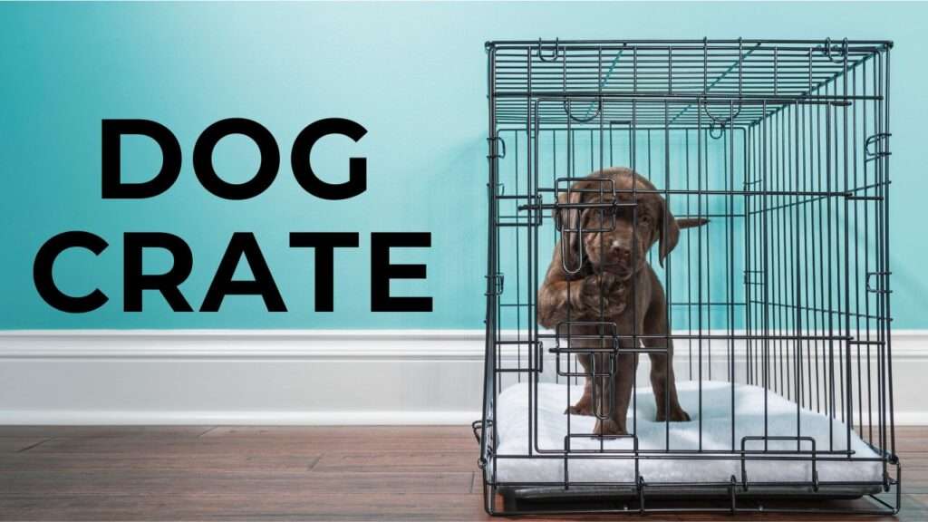 Dog Crate