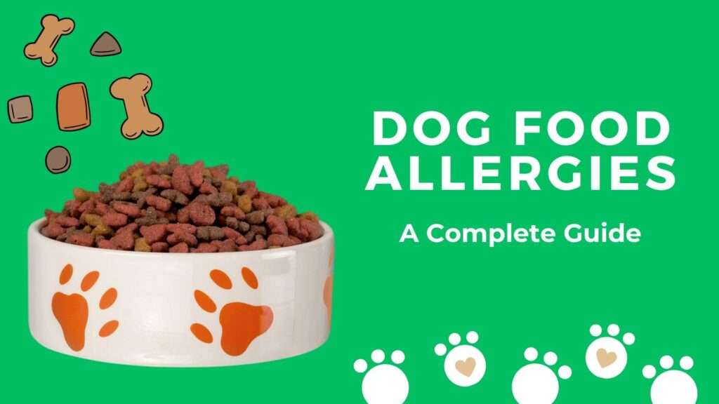 Dog Food Allergies