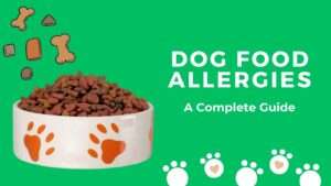 Dog Food Allergies