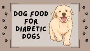 Dog Food For Diabetic Dogs