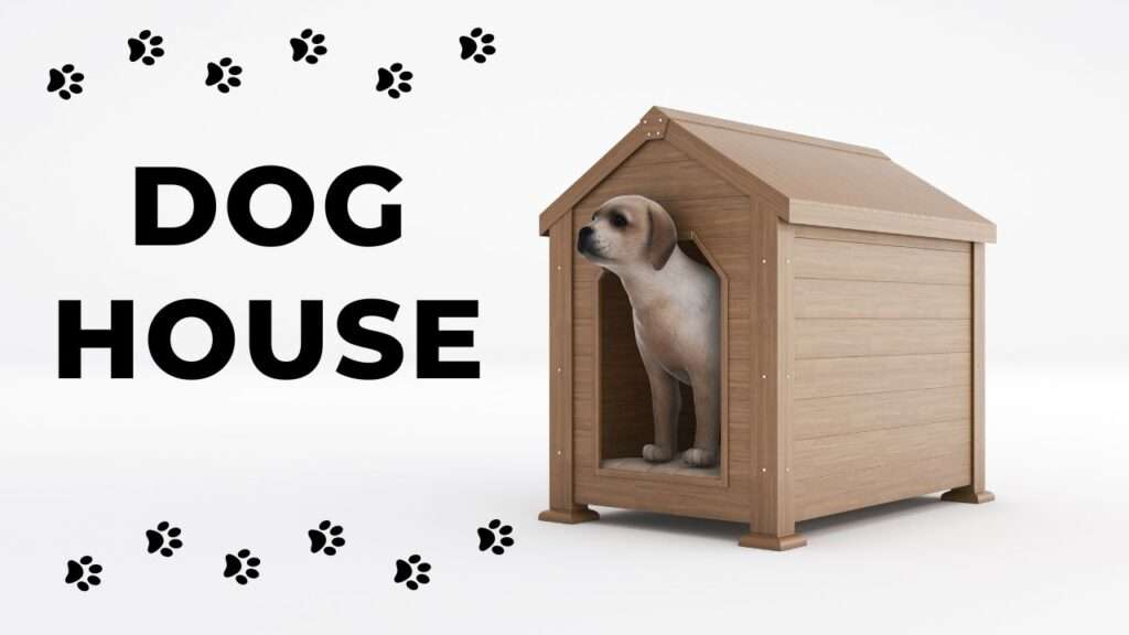 Dog House