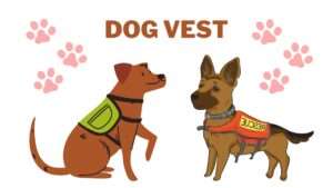 Dog Vest