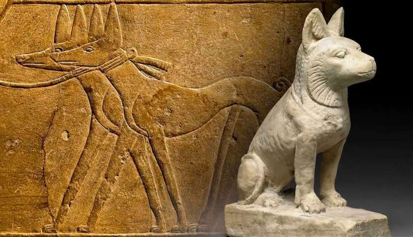 Dogs in Ancient Egypt