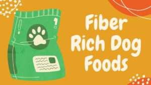 Fiber Rich Dog Foods