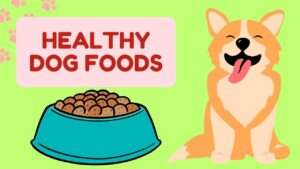 Healthy Dog Foods