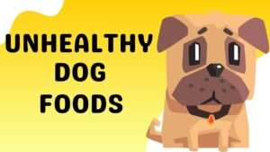 Unhealthy Dog Foods