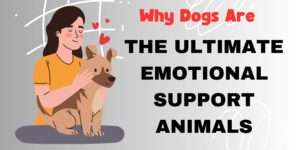 Why Dogs Are The Ultimate Emotional Support Animals