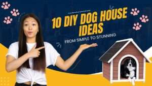 10 DIY Dog House Ideas | From Simple to Stunning
