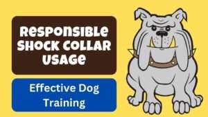 Responsible Shock Collar Usage | Effective Dog Training