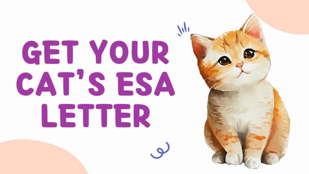 Get Your Cat’s ESA Letter