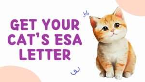 Get Your Cat’s ESA Letter