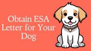 Obtain ESA Letter for Your Dog