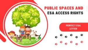 Public Spaces and ESA Access Rights