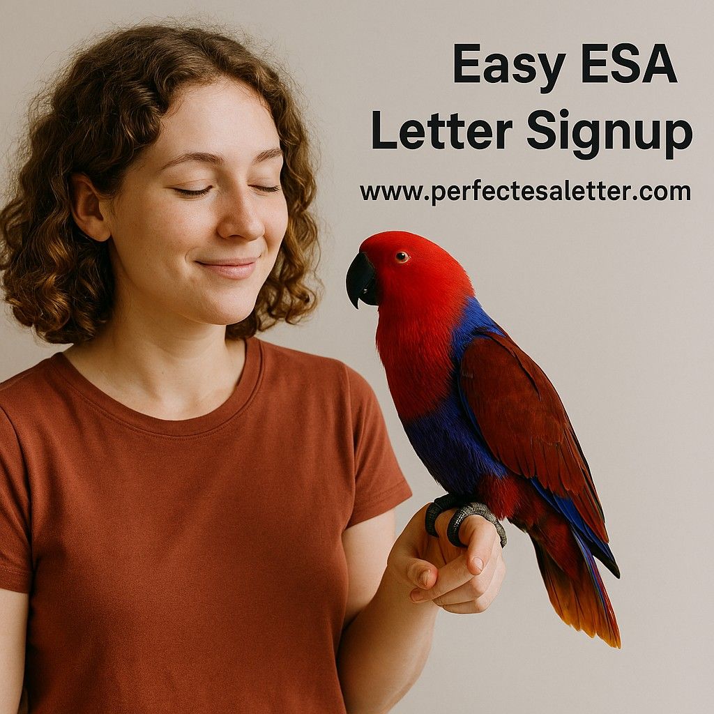Easy ESA Letter Signup – Secure Your Pet’s Legal Rights in Minutes
