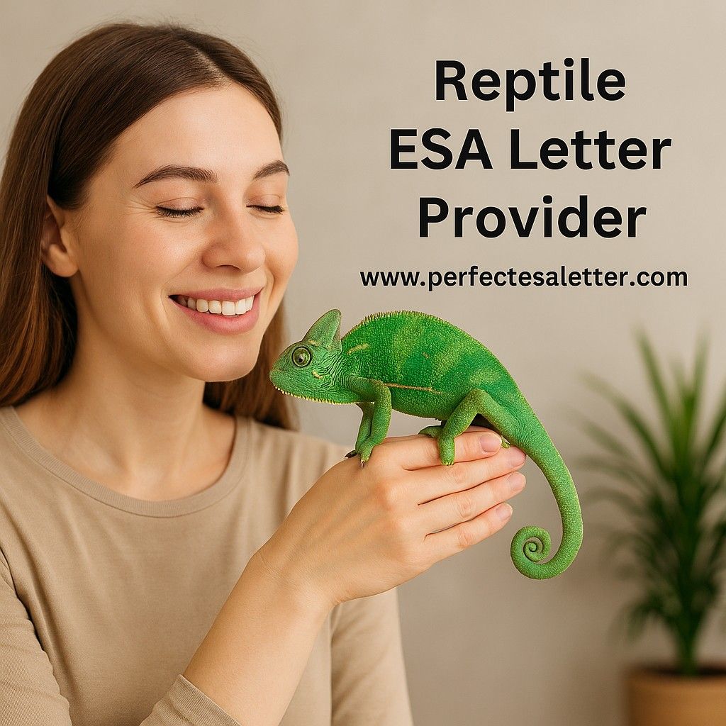 Reptile ESA Letter Provider – How to Get a Legal Emotional Support Animal Letter for Your Reptile